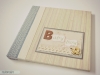 album bebe baiat