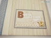 album bebe baiat2